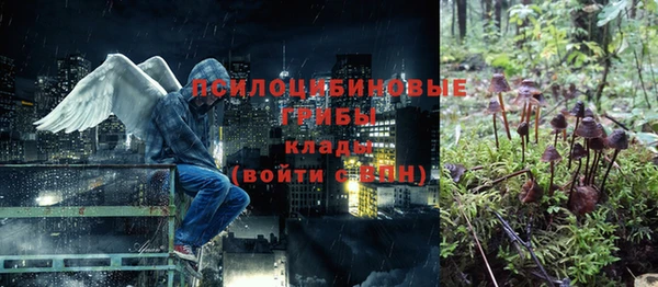 ешки Алексеевка