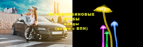 молекула духа Абинск