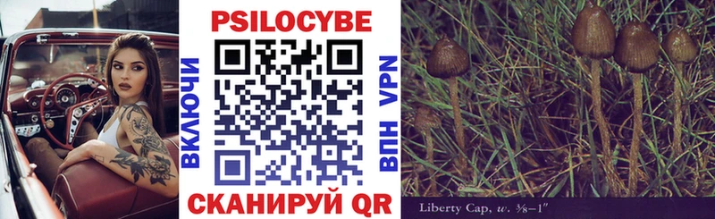 Галлюциногенные грибы мицелий  Луга 